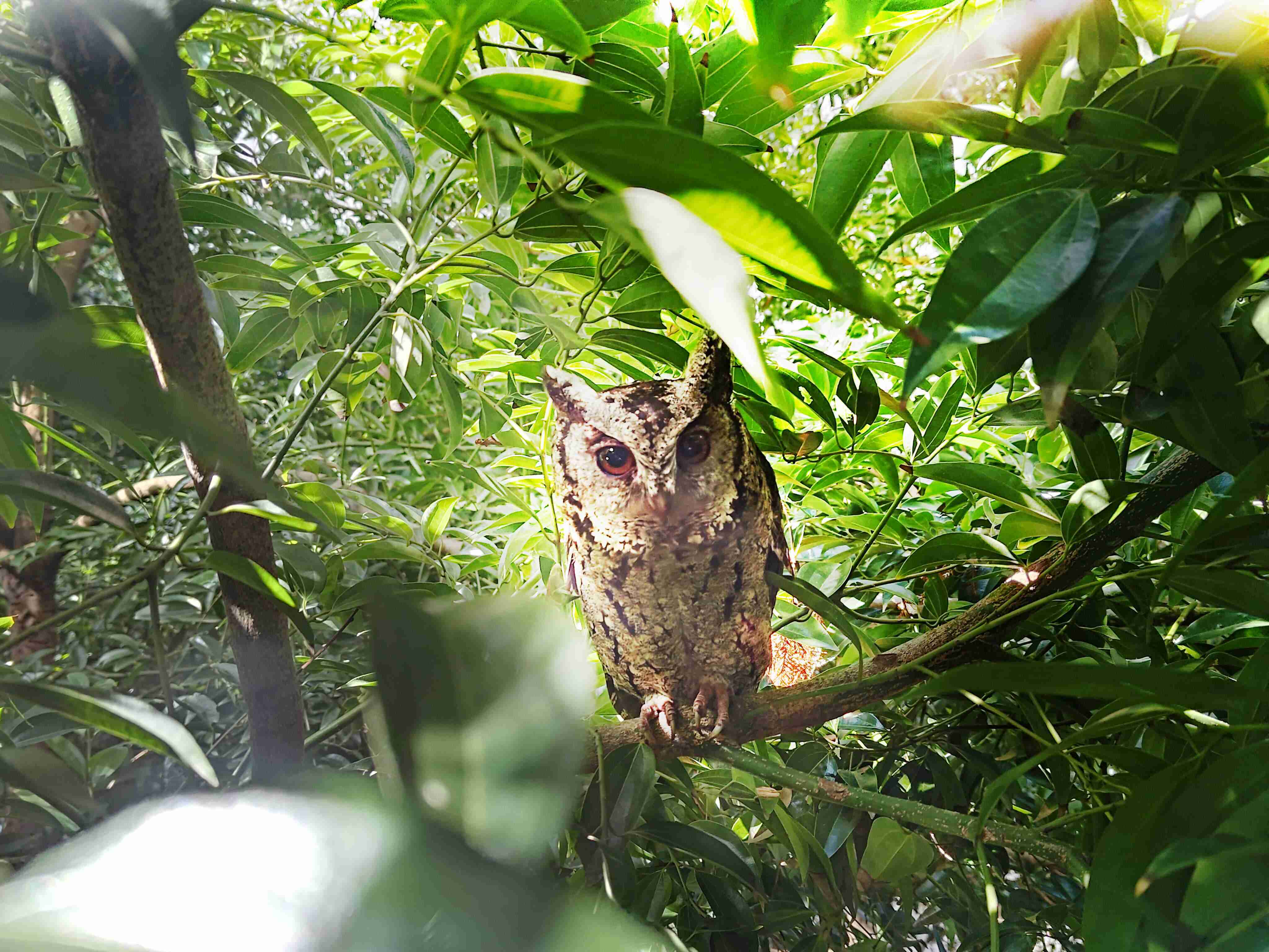 888.BY集团电子游戏致力提倡净零绿生活，，16年以来在全球各厂区植树逾百万棵，，，，造就各厂区树木蔚然成林，，犹如森林工厂，，，成为许多生物的栖息地